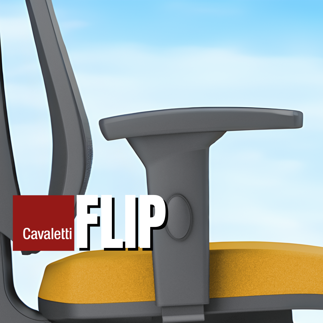 Cavaletti® Flip